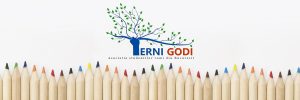 Asociatia studentilor romi din Bucuresti Terni Godi